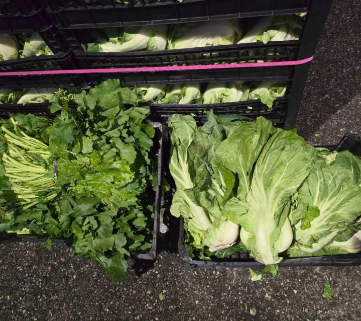 Cagettes légumes frais Annecy